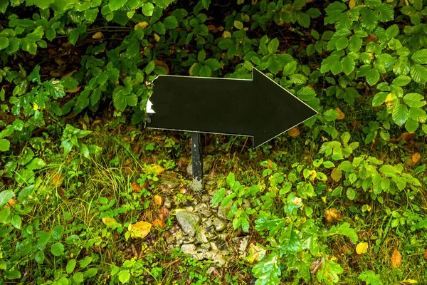 Ormanda Siyah Bir Emprty Işaretleyici Okun Yakın Çekimi — Stok fotoğraf