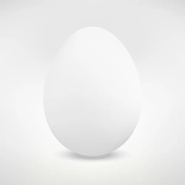 Huevo aislado realista. Ilustración vectorial — Vector de stock