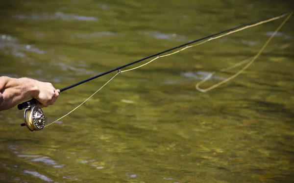 Pêche à la mouche sur la rivière — Photo