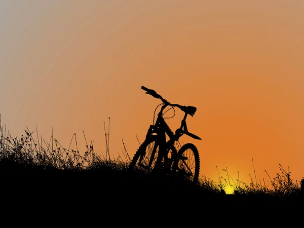 Fahrrad bei Sonnenuntergang — Stockvektor