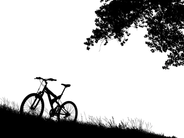 Vélo dans la nature — Image vectorielle