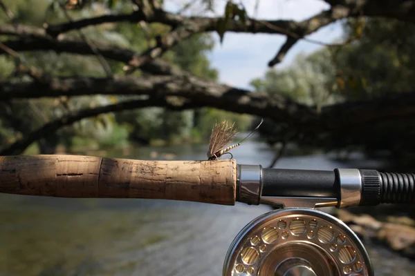 Pesca con mosca en el río de montaña —  Fotos de Stock