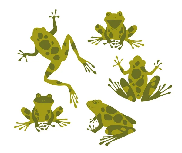 Set de ranas lindas. Sapos verdes. Ilustración vectorial. — Archivo Imágenes Vectoriales