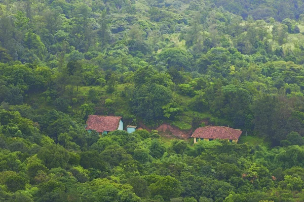 Grön natur — Stockfoto