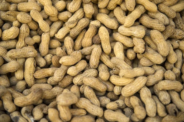 Erdnüsse im Angebot — Stockfoto