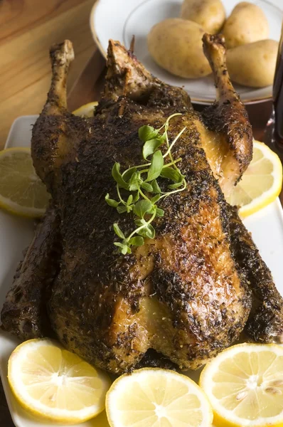 Roast duck — Stock Photo, Image