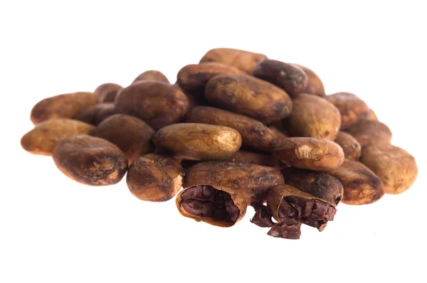 Какао-боби ізольовані на білому тлі — стокове фото
