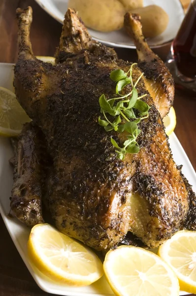 Roast duck — Stock Photo, Image