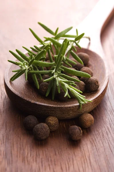 Allspice with fresh rosemary Stock Picture