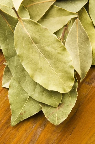 Bay leafs — Stock Photo, Image