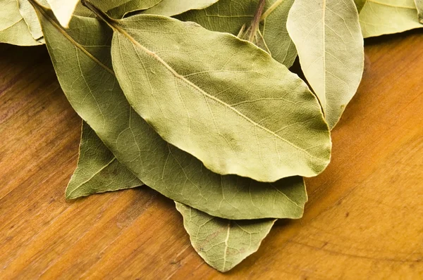 Bay leafs — Stock Photo, Image