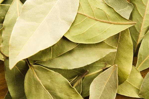 Bay leafs — Stock Photo, Image