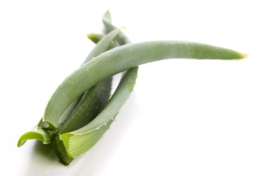 aloe vera - bitkisel ilaç