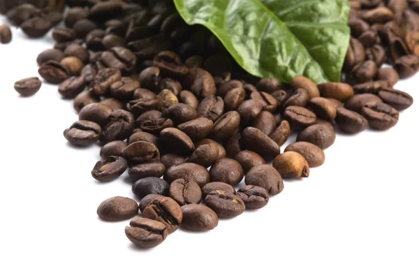 Coffee grains and leaves — Stock Photo, Image