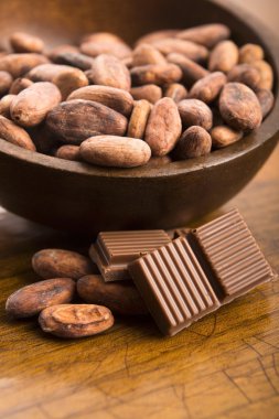 kakao çekirdekleri ile sütlü çikolata