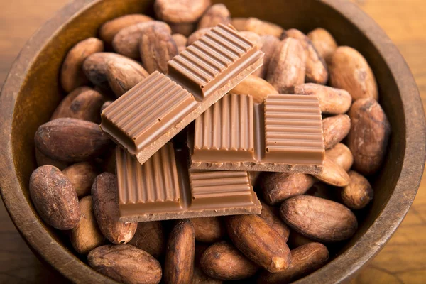 Cacao bönor med mjölkchoklad — Stockfoto