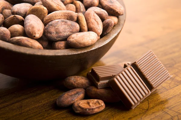 Kakaobohnen mit Vollmilchschokolade — Stockfoto