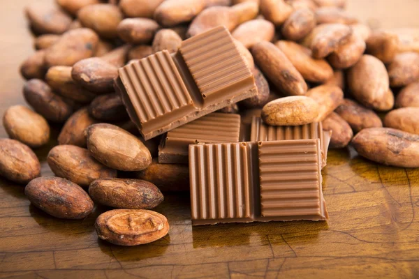 Cacao bonen met melkchocolade — Stockfoto