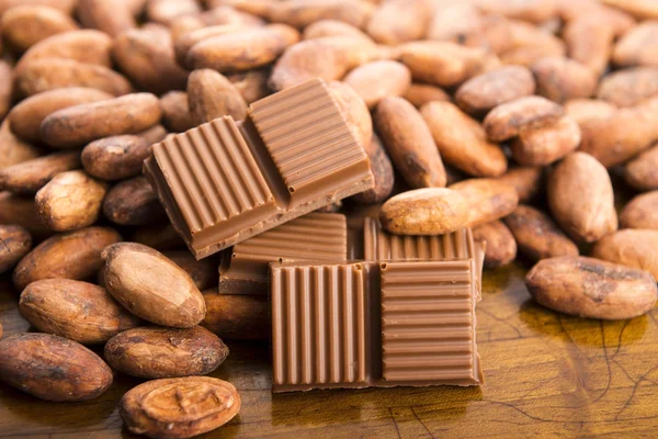 Feijão de cacau com chocolate ao leite — Fotografia de Stock