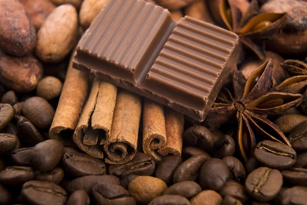 Cioccolato con chicchi di caffè, spezie e cacao — Foto Stock