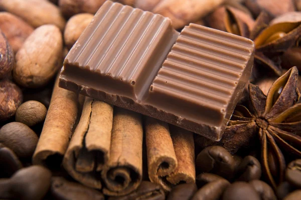 Chocolate com grãos de café, especiarias e cacau — Fotografia de Stock