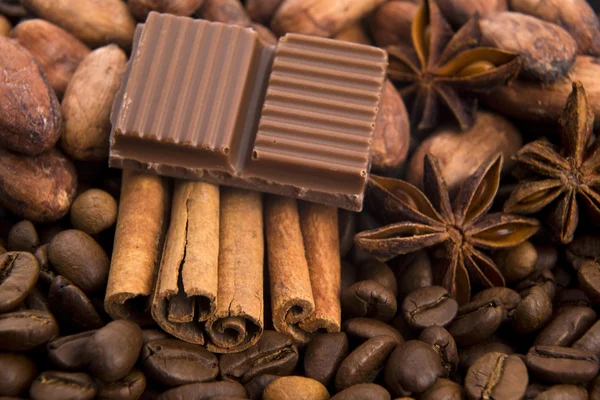 Schokolade mit Kaffeebohnen, Gewürzen und Kakao — Stockfoto