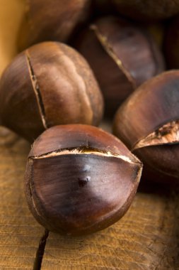 nefis kavrulmuş kestane