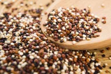 Üç renkli quinoa tahıl