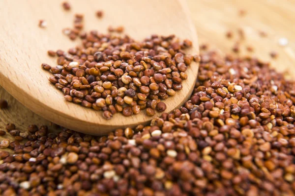 Kırmızı quinoa tahıl — Stok fotoğraf