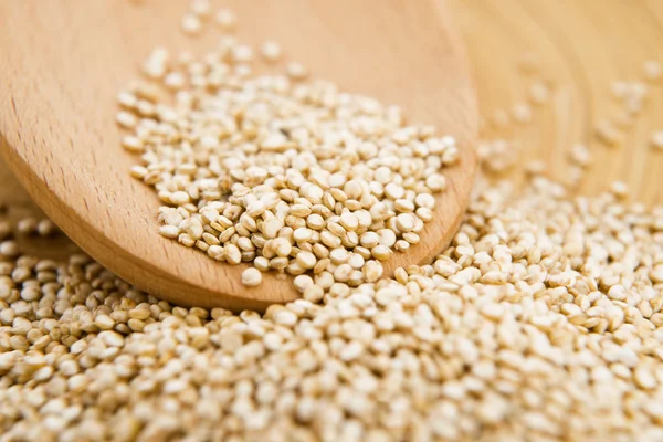 Grano di quinoa — Foto Stock