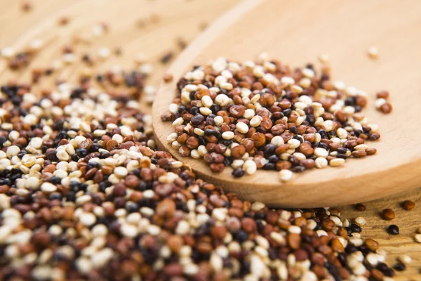 Üç renkli quinoa tahıl — Stok fotoğraf