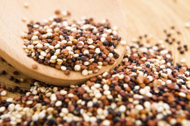 Üç renkli quinoa tahıl