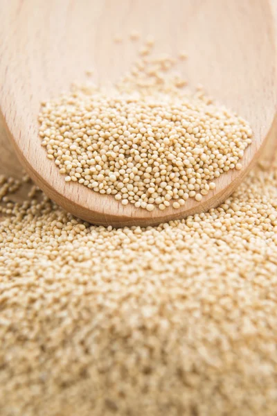 Healthy amaranth grain — Stock Photo, Image
