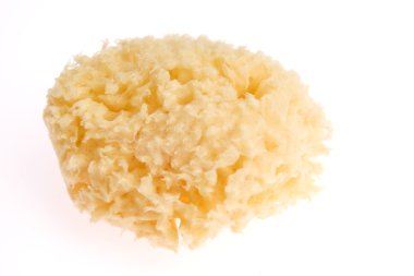 Banyo süngeri beyaz arkaplanda izole edildi