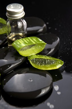 Aloe yaprakları ile taş üzerine dilimlenmiş