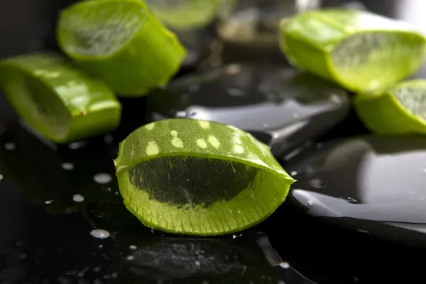 Diiris daun aloe dengan minyak di batu — Stok Foto