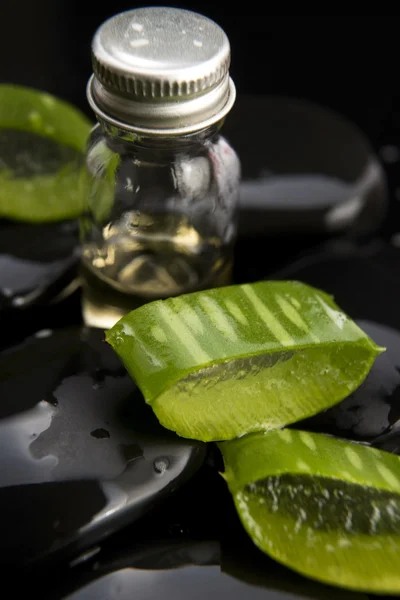Sliced aloe leaves with oil on the stone — Stock Photo, Image