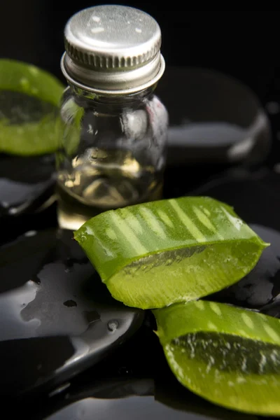 Foglie di aloe affettate con olio sulla pietra — Foto Stock