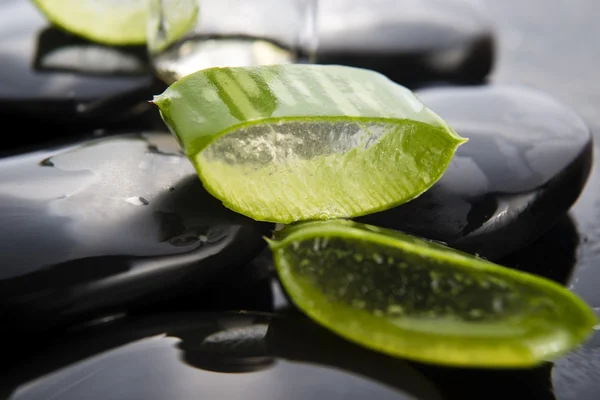 Plátky aloe listy s olejem na kámen — Stock fotografie