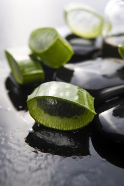 Aloe yaprakları ile taş üzerine dilimlenmiş