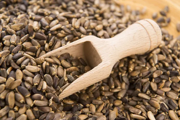 Seeds of a milk thistle (Silybum marianum, Scotch Thistle, Maria — Stock Photo, Image