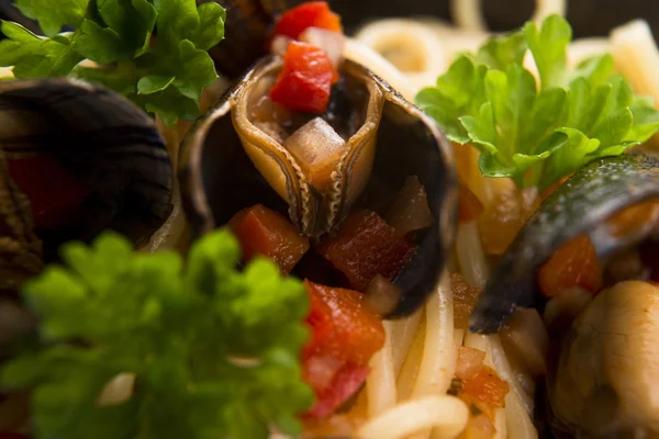 Clams in tomato sauce — Stock Photo, Image