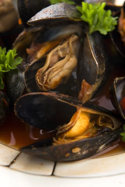 Almejas en salsa de tomate — Foto de Stock