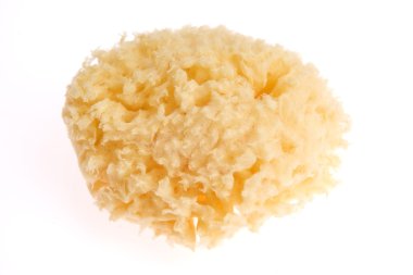 Banyo süngeri beyaz arkaplanda izole edildi