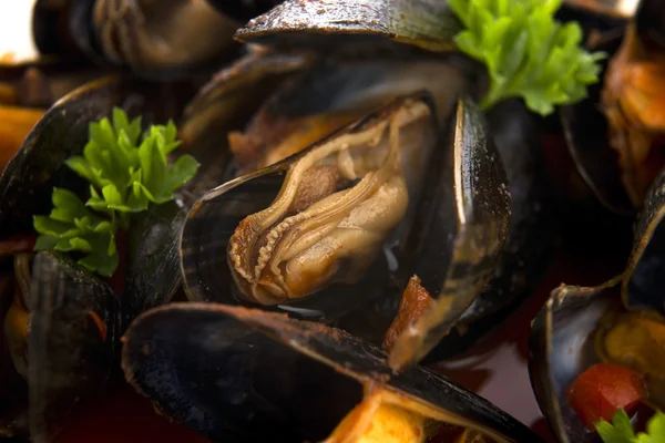 Almejas en salsa de tomate — Foto de Stock