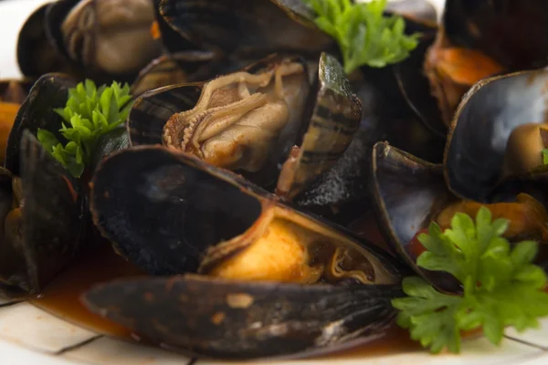 Venusmuscheln in Tomatensauce — Stockfoto