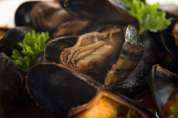 Musslor i tomatsås — Stockfoto