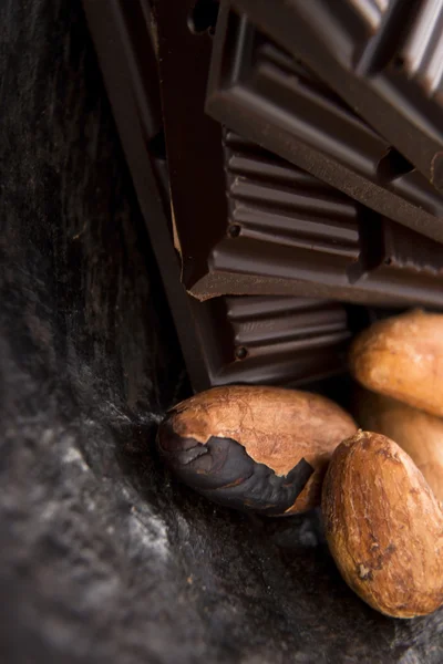 Feijão de cacau com chocolate ao leite — Fotografia de Stock