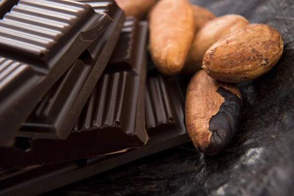 Judías de cacao con chocolate con leche —  Fotos de Stock