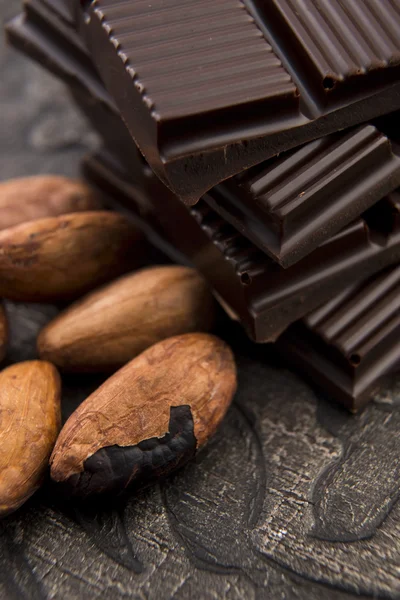 Kakao çekirdekleri ile sütlü çikolata — Stok fotoğraf